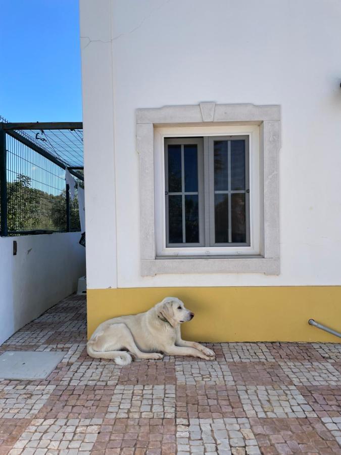 B&B Entrecolinas Paderne  Exterior photo